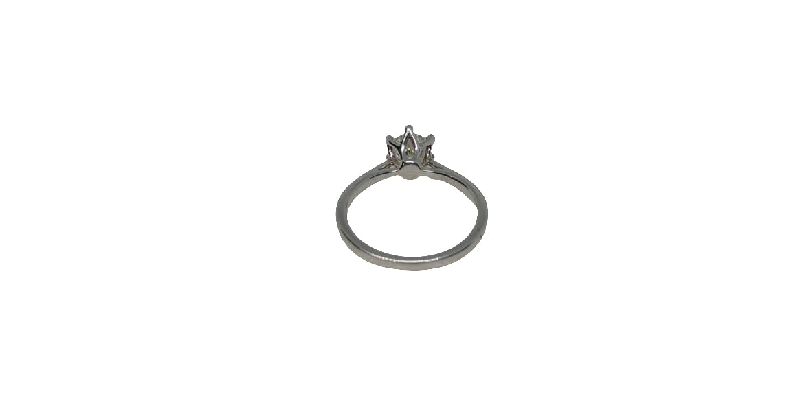 Sterling silver 18ct rhodium plated 6 claw protea crown with a plain tapered shank ring
