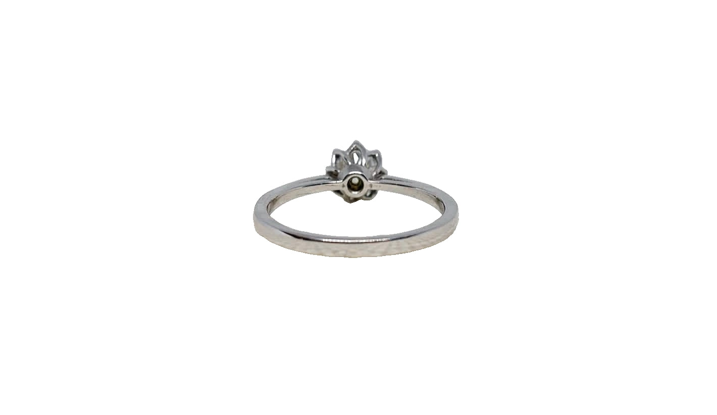 9ct White gold cubic zirconia protea setting 8 claw with a slim tapered split shank ring