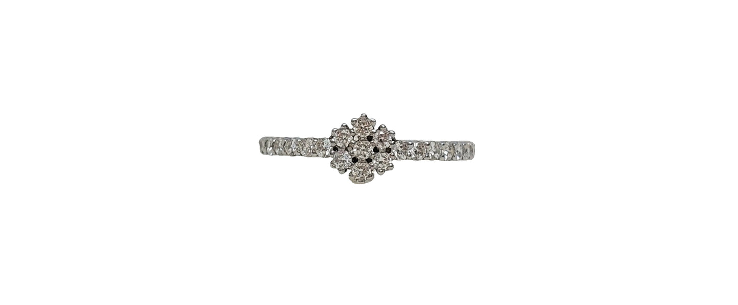 9ct White gold Floral Cluster diamond ring